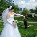 Конкурсы жениху на выкуп невесты